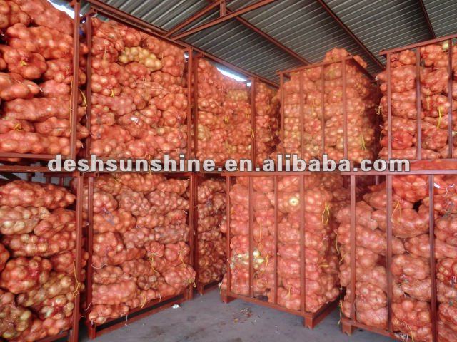 2012 Grade A the Best china new crop onion price