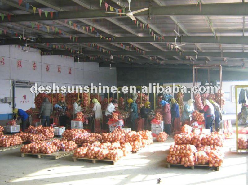 2012 Grade A the Best china new crop onion price
