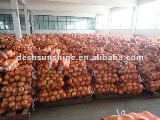 2012 Grade A the Best china new crop onion price
