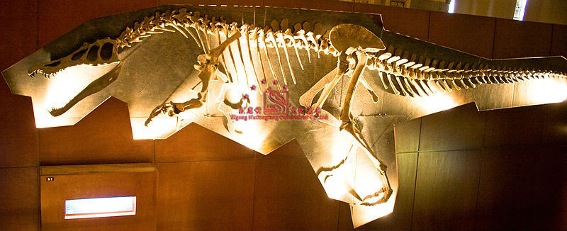 baryonyx fossil for sale