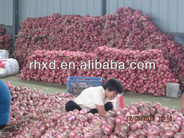fresh red onion price