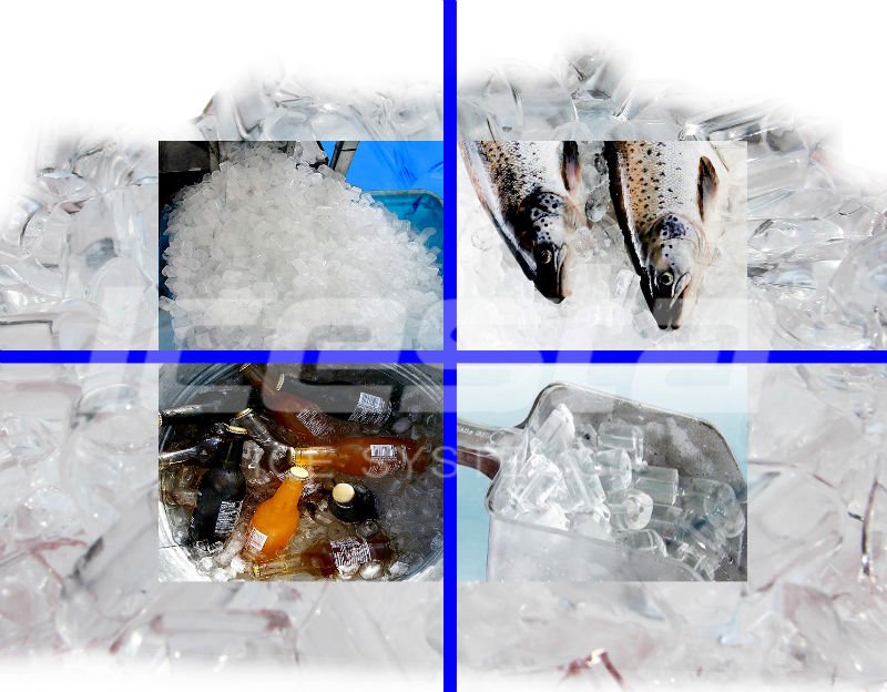 Icesta50tons/day食用プロの急速凍結管の製氷機問屋・仕入れ・卸・卸売り