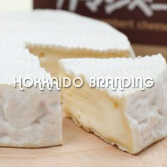 Delicious Camembert Cheese,Japan price supplier 21food