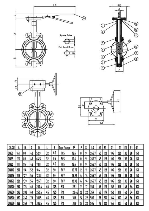 lug butterfly valve