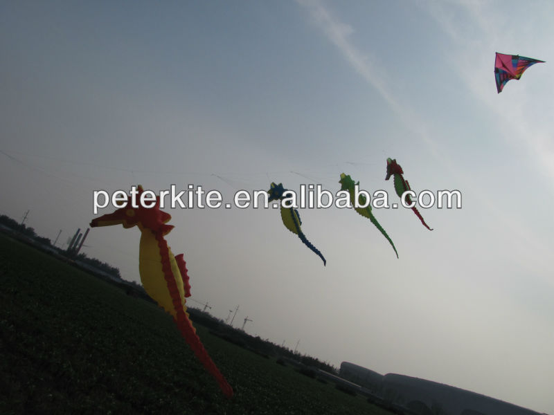 dragon kites,dragonboatrace large dragon kites for sale