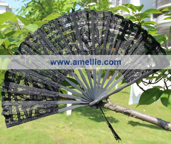 A-Fan048b.jpg