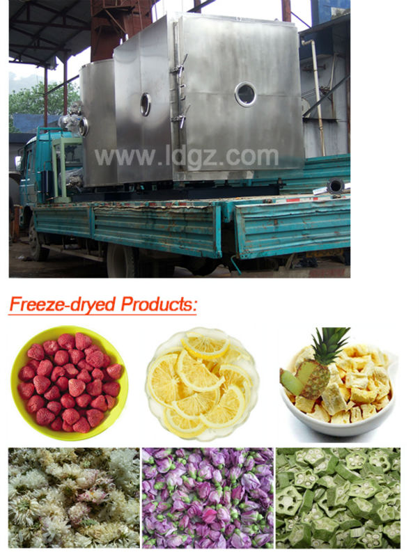 2013 Food processing machine Vaccum Freeze Drying equipment (China manufacturer, Hangzhou)