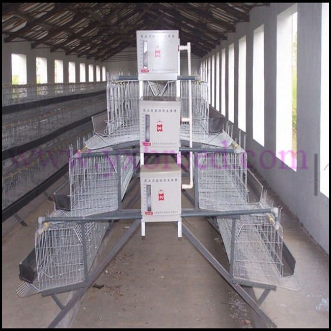 Poultry In Dubai Farm Equipment For Chicken Buy Poultry In Dubai Farm