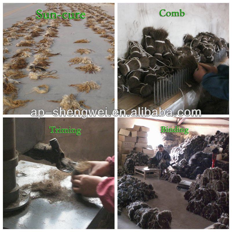 Chinese black single drawn horse mane