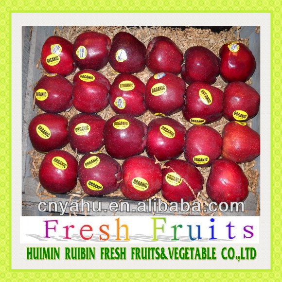 fresh fruit supplier,China ruibin price supplier 21food