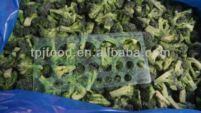 IQF Cabbage with HACCP/BRC/HALAL/KOSHER/ISO