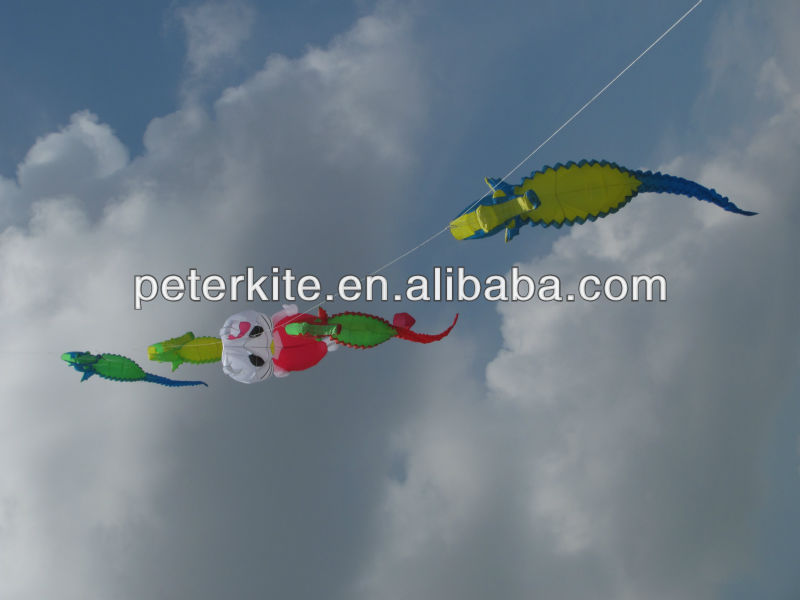 large dragon kites for sale