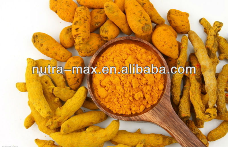 NutraMax Supplier - Rhizoma Curcumae Longae Extract