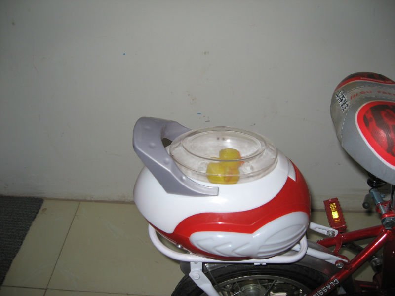 cartoon girl on bike. Cartoon girl bicycle