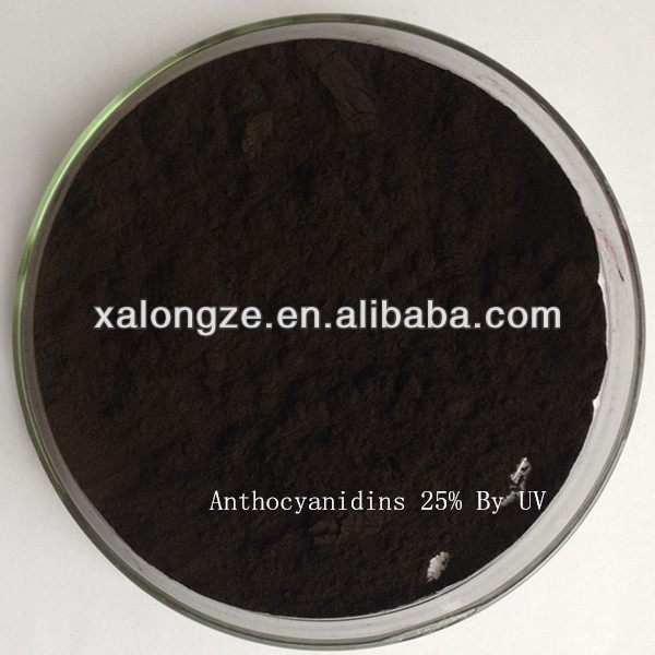 High Quality Cranberry Extract Plant Extract Powder