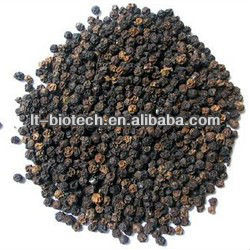 GMP Factory Supplly Piperine Black Pepper Extract