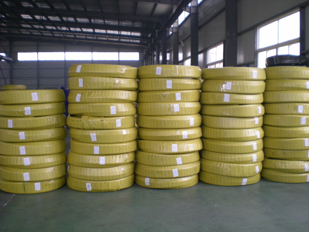 DSCN1286.jpg