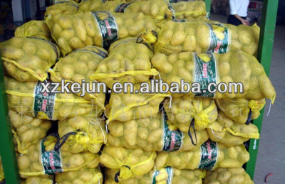 Export fresh potato with good quality