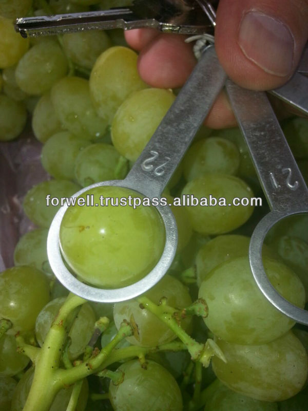 fresh grapes ( red - green - white ) ( seedlees - seeded )