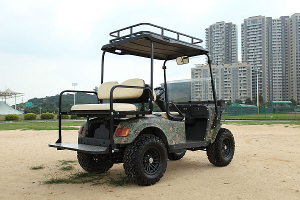電動ゴルフカートに4x44wd販売のための斧- c2+2- 4x4の、 電動ゴルフカートと折りたたみシート仕入れ・メーカー・工場