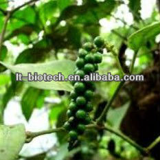 GMP Factory Supplly Piperine Black Pepper Extract
