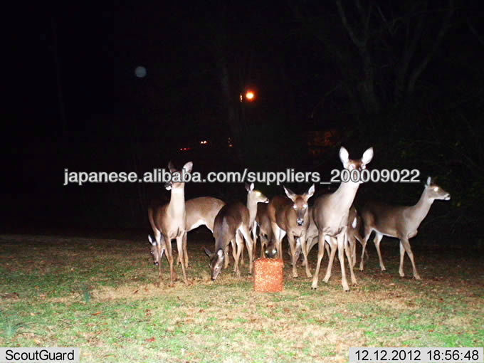 夜色赤外線フラッシュ 赤外線センサー付自動撮影問屋・仕入れ・卸・卸売り