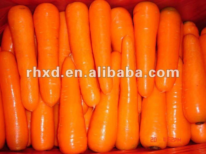2013 carrot new crop