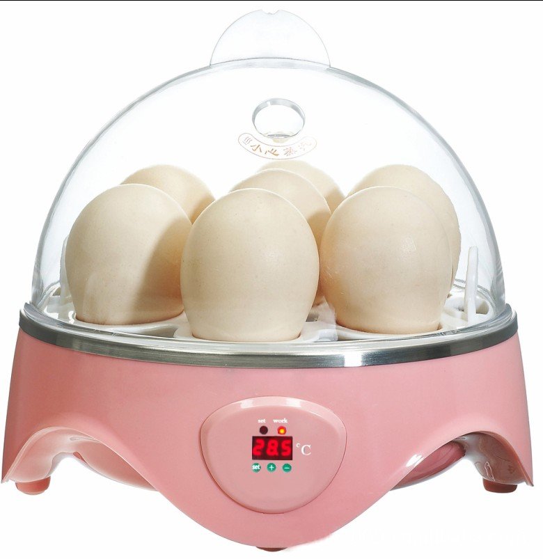 Details about NEW Reptiles &amp; Birds INCUBATOR FOR HATCHING EGG 7 EGGS