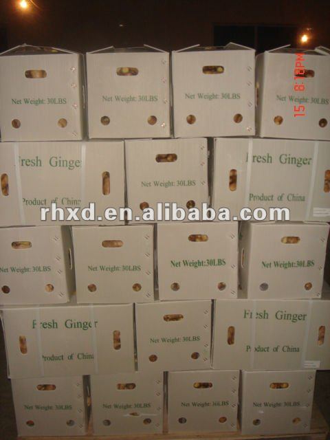 2013 new price of fresh ginger in China