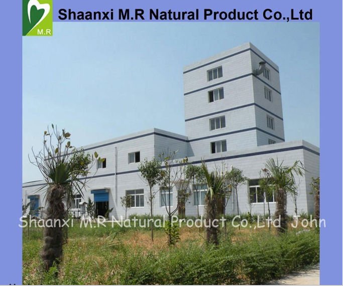 High quality Aloe Vera Extract