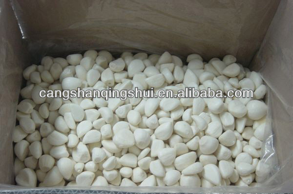 frozen iqf peeled garlic price for sale