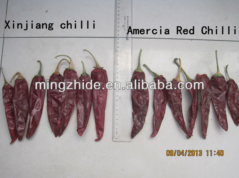 chinese red chilli,Amercia red chilli, xinjiang chilli and caotian chilli
