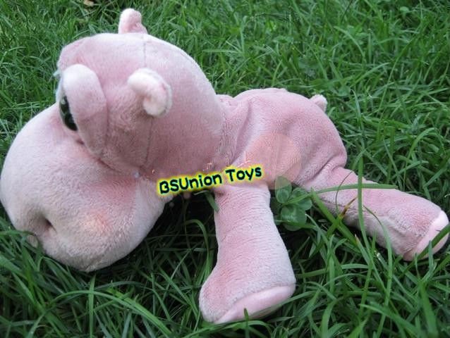 10_conew1