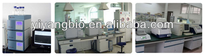 Supply korean red ginseng extract tea