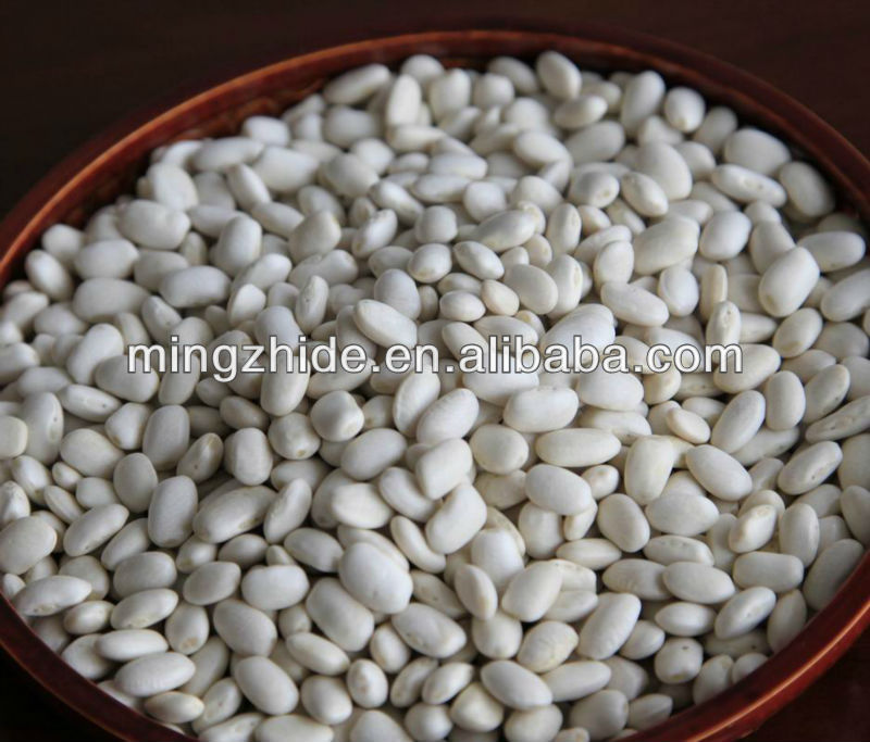 green mung beans specification