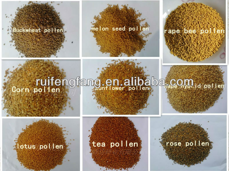 Natural honey bee pollen Tea flower, Rape flower, Rose flower,Corn Flower,Pine flower, buckwheat,lot