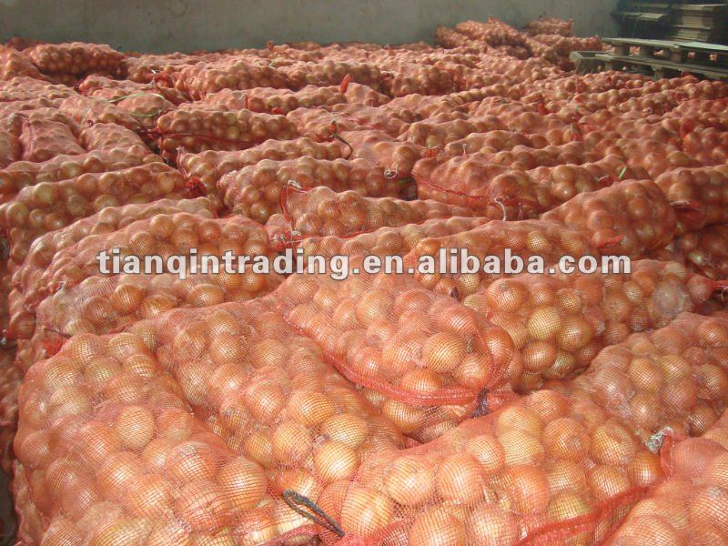 red onion exporter