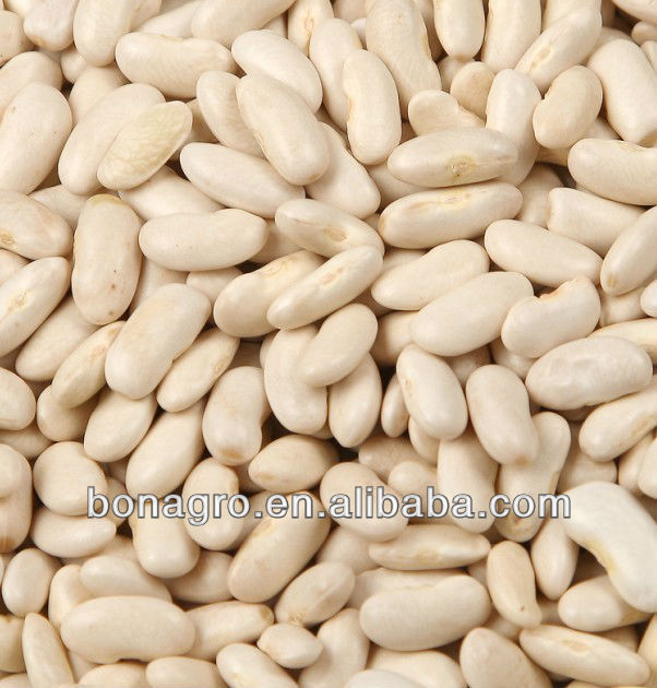 purple speckled kidney bean 2014 crop tops pp woven bag 50kg china supplier