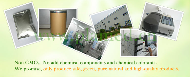 Natural white tea extract powder manufacturers,food supplement white tea extract powder