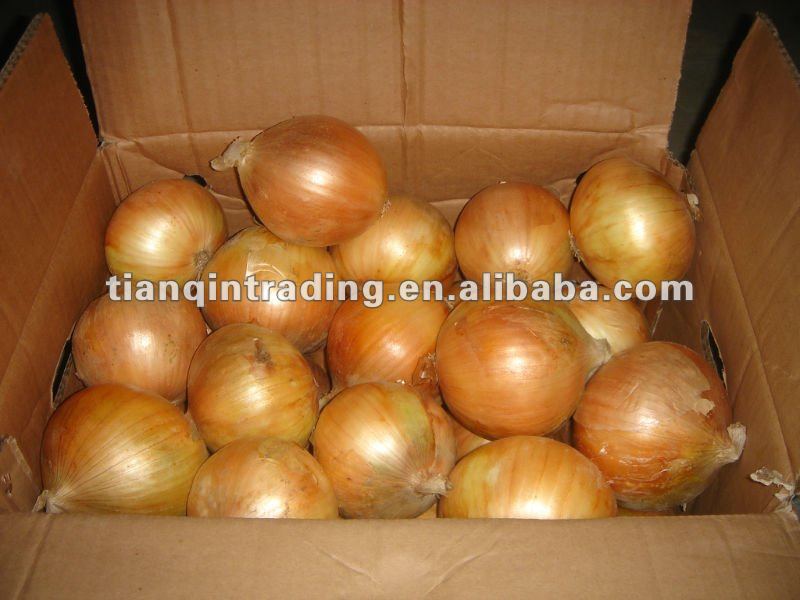 red onion exporter