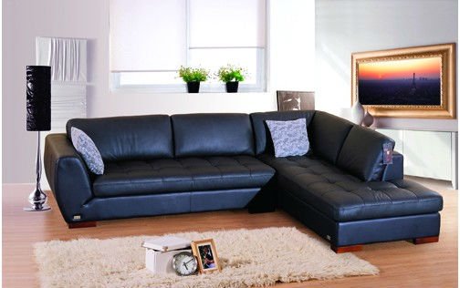 royal blue couch