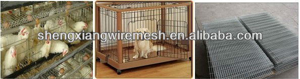 chicken layer cage mesh//poultry chickens farms for sale/chick cage/poultry farming for egg laying birds, broilers, baby chicks
