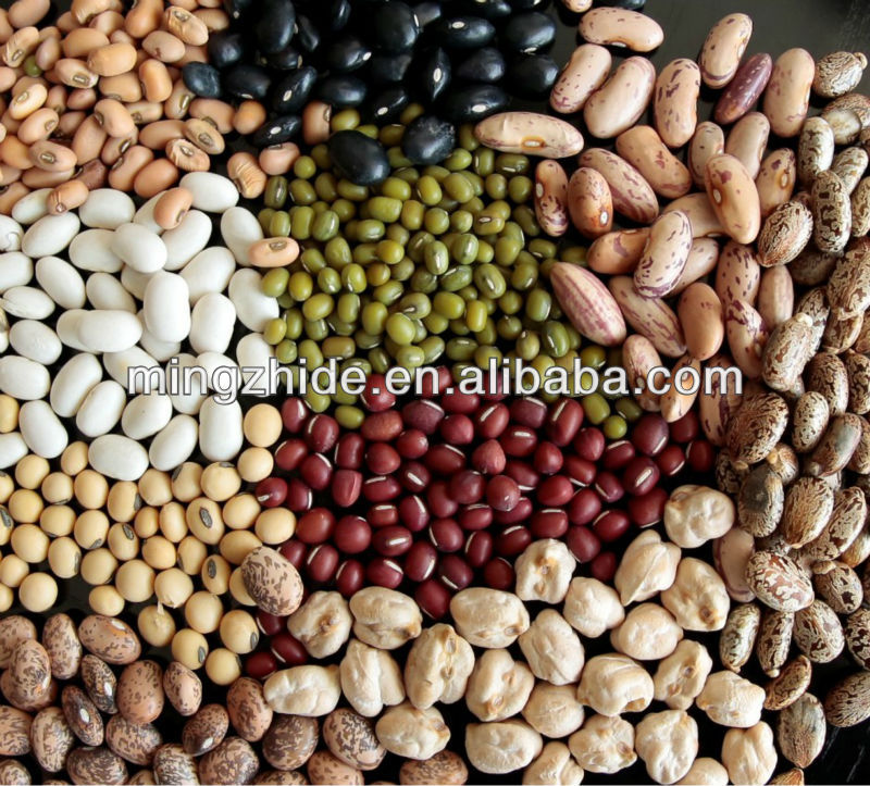 Light Speckled Kidney Beans, round shape 2014 new crop;