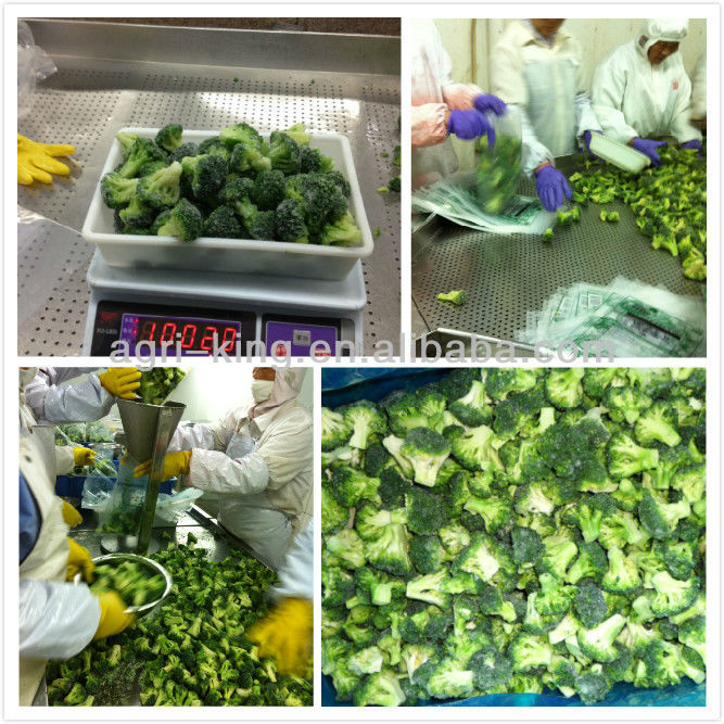 Chive types IQF & Frozen green onion