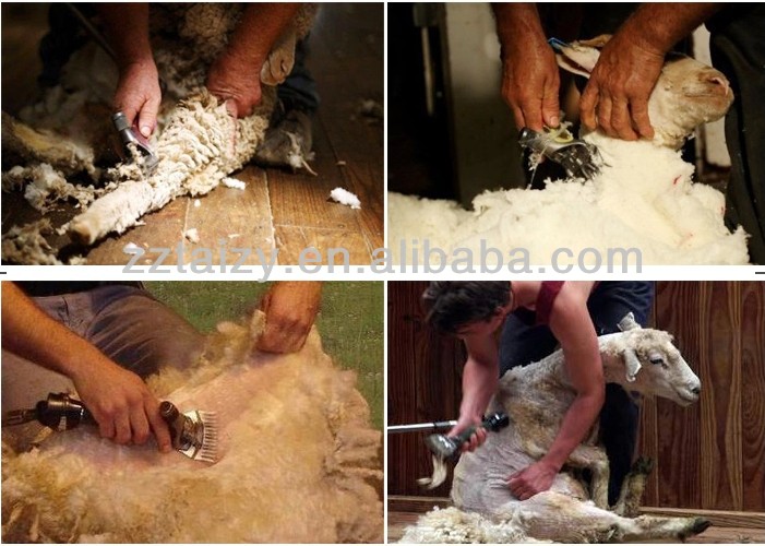 hot sale sheep shears/sheep wool clipper 0086-13838527397