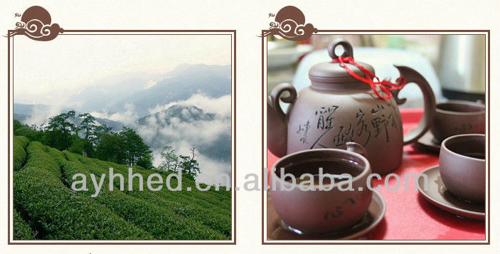 Taiwan High mountain Dong Ding Oolong Tea