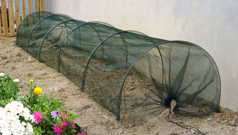 plastic cover greenhouse,steel wire tunnel ,tunnel garden house ...