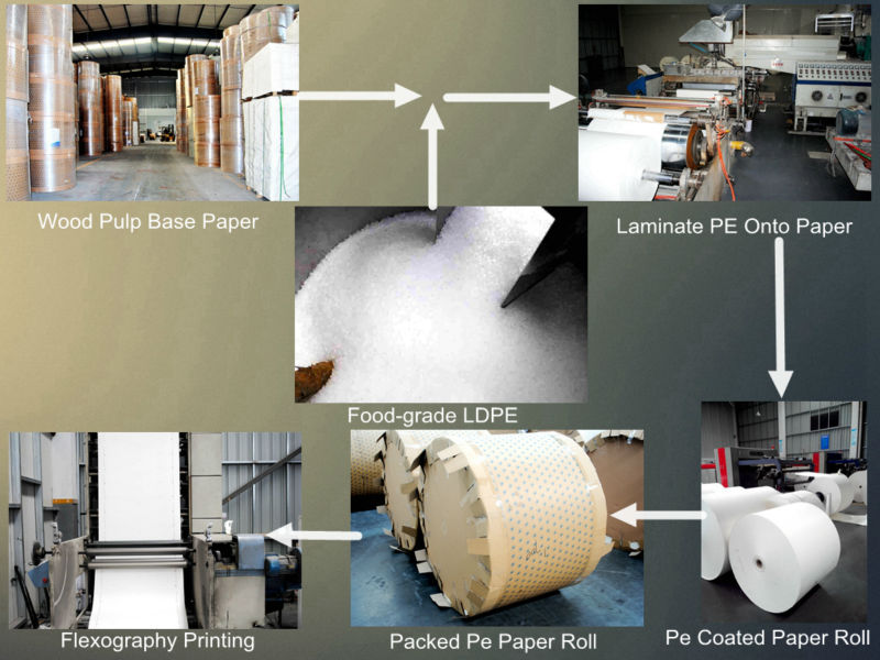 Double Side PE Coated Paper For Food Package Use