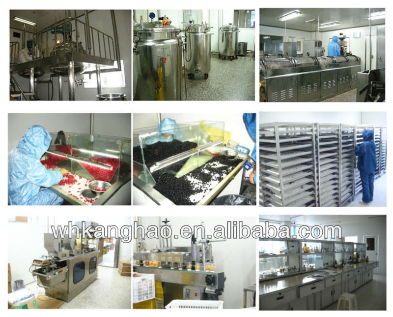 GMP/ISO9001/HACCP Non-GMO Aloe Vera Extract
