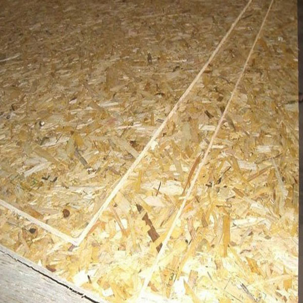 OSB 6.jpg
